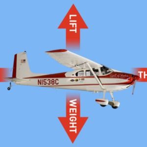 Meet your Posher, Gavin